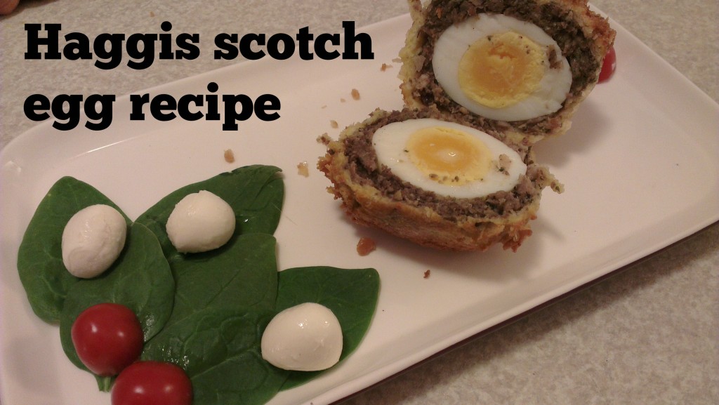 haggis scotch egg recipe