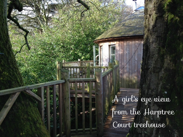 Harptree court treehouse review