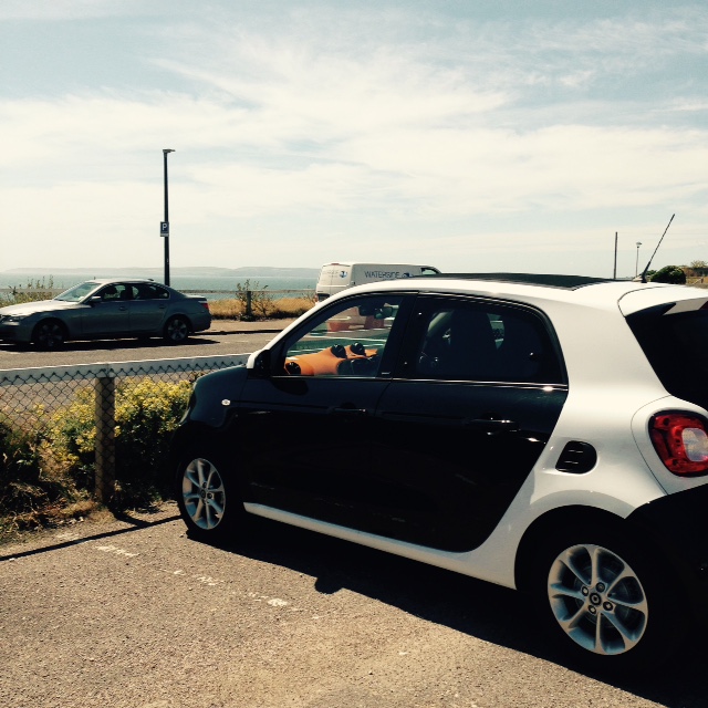 smart forfour review