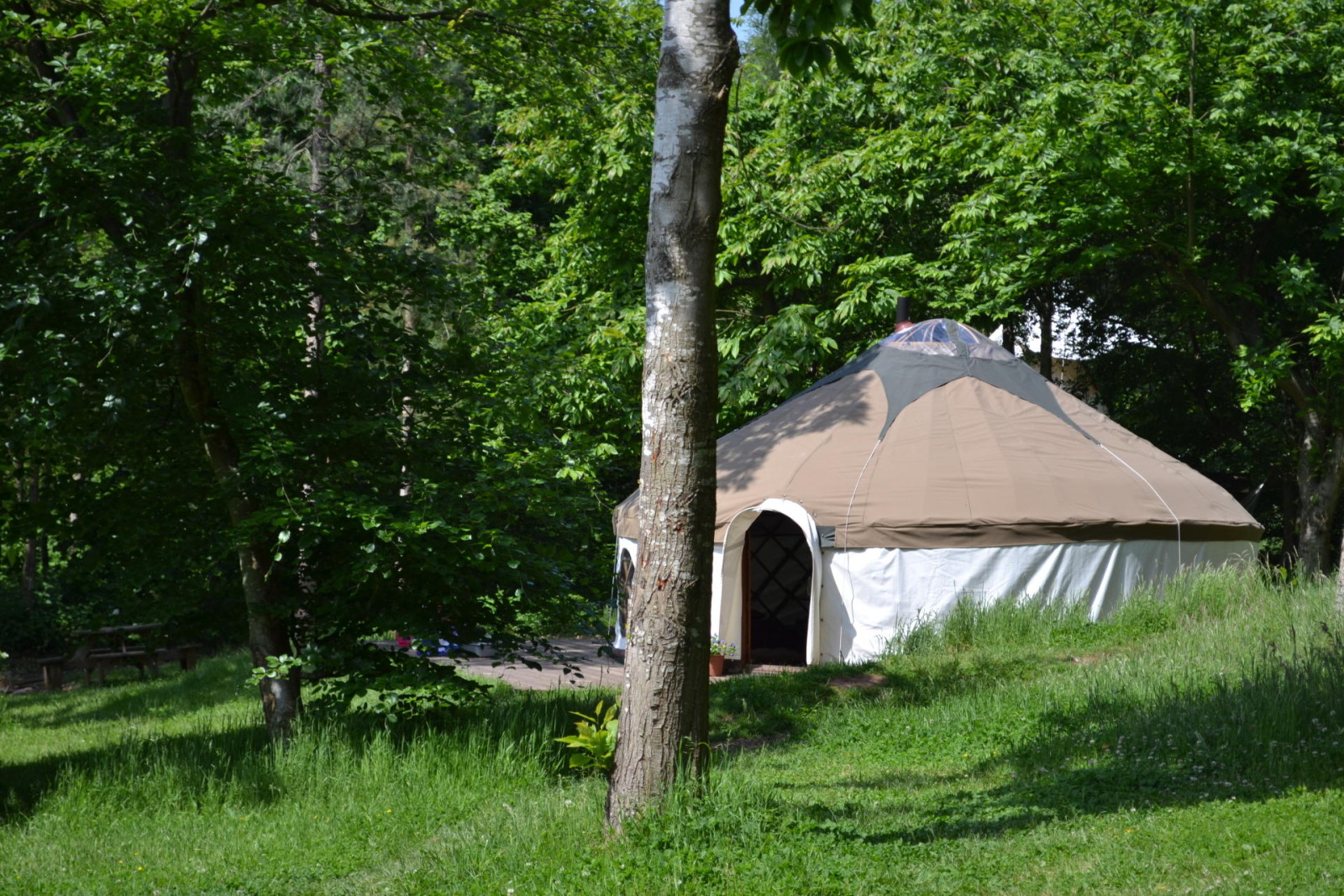 Wood cabin yurt