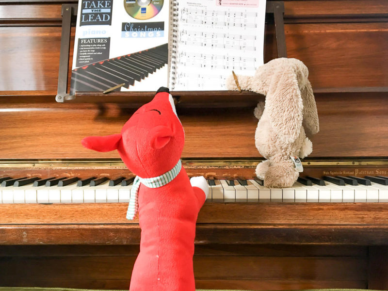 rabbit playing the piano
