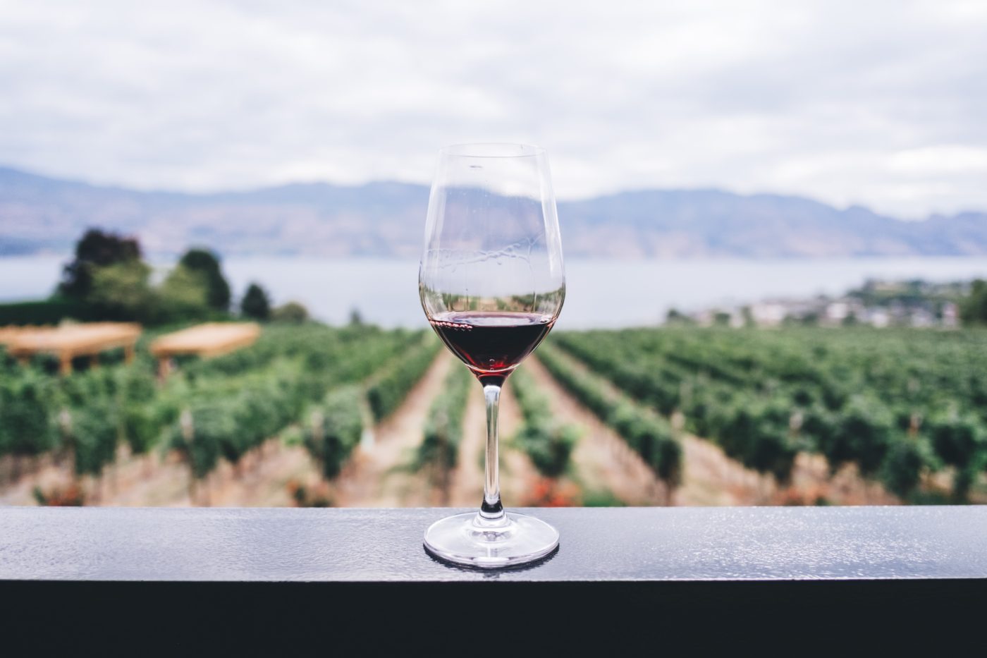 best countries for wine
