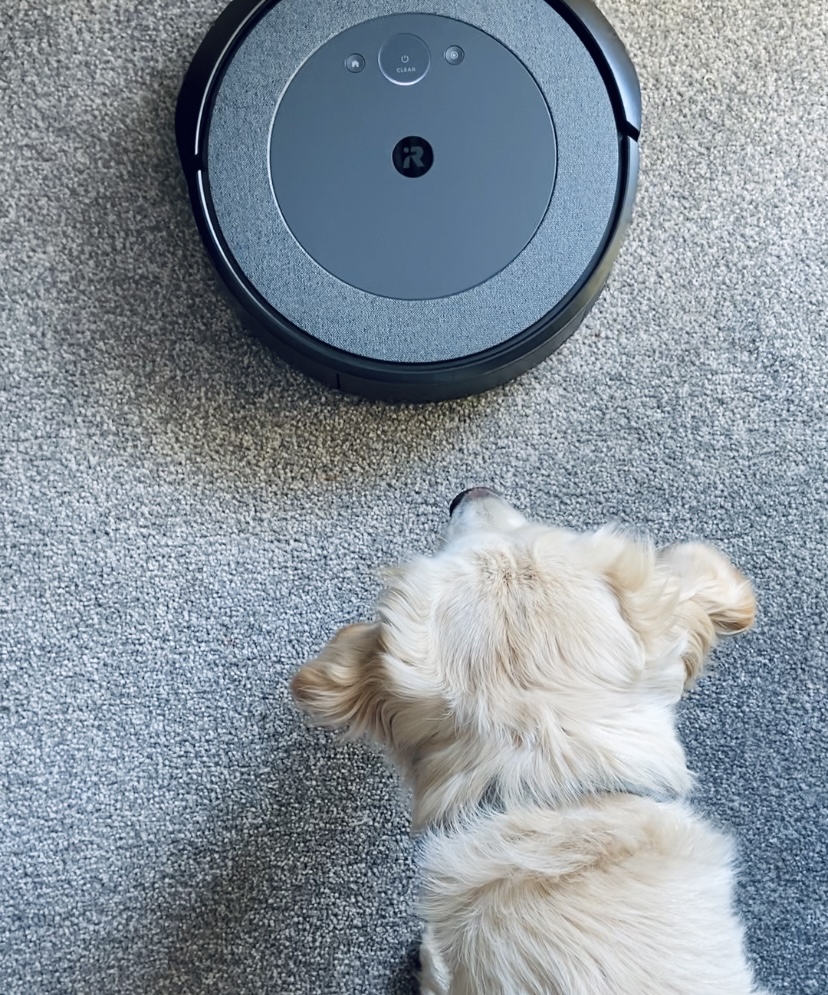 Roomba robot vacuum review